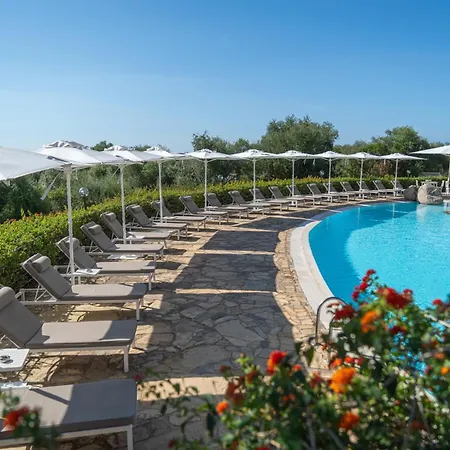 Hotel With Swimming Pool In *