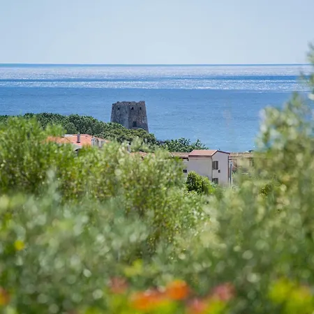 With Swimming Pool In