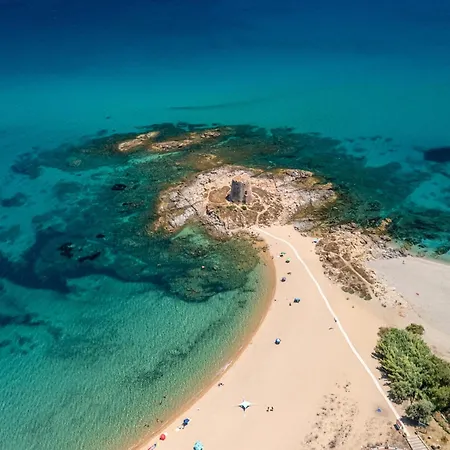 With Swimming Pool In 酒店