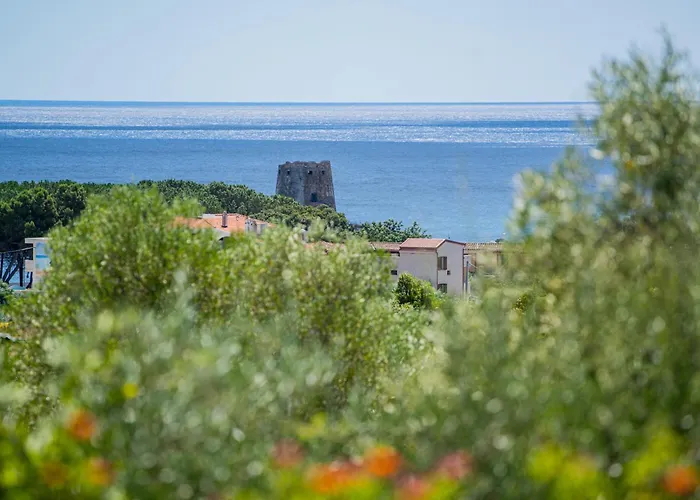 With Swimming Pool In