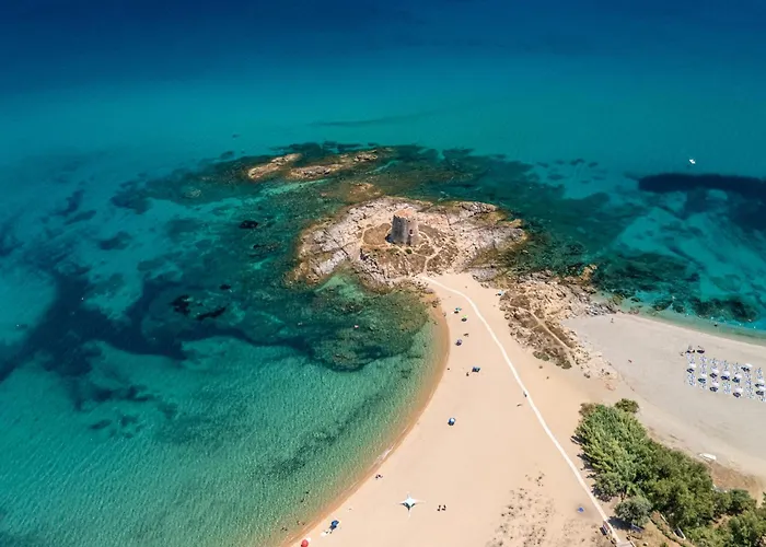 With Swimming Pool In 酒店